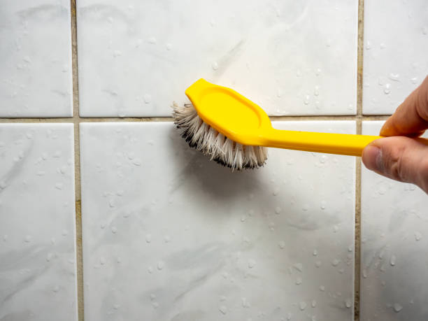  West Hill, OH Mold Removal Pros