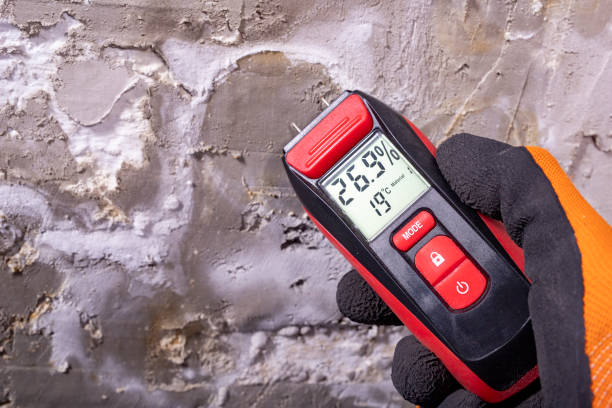 Crawl Space Mold Removal in West Hill, OH
