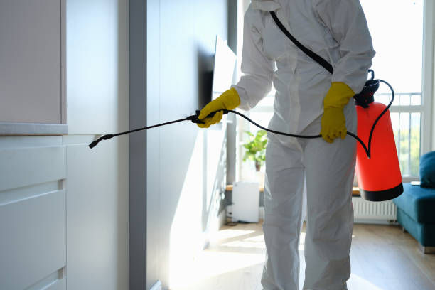Best Crawl Space Mold Removal  in West Hill, OH
